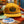 Black and Gold Corduroy Hat