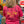 Fort Pitt Trading Logo T (Red)